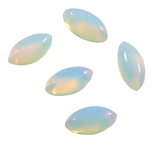 ChIp[lH 6X12mm }[LX^ 5 bg 9.05Jbg Gtc-439-B09SQ16XHD