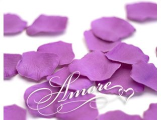 200 Wedding Silk Rose Petals Violet Wild Orchid