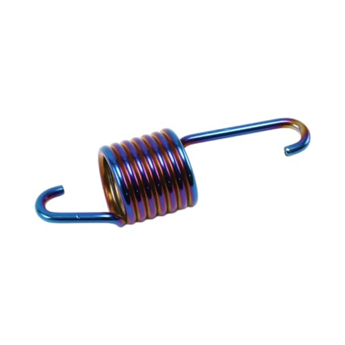 JSM 6^ VOiX Ot@X CYGNUS GRYPHUS BWS Z^[X^hXvO PVD`^R[g `^