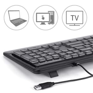 https://m.media-amazon.com/images/I/31NkEsqfXKL.jpg