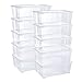 Grizzly Lot de 10 Boites de Rangement avec Couvercle - 10 L - Caisses empilables en Plastique Transparent - pour vêtements, Chaussures, Jouets, Bricolage