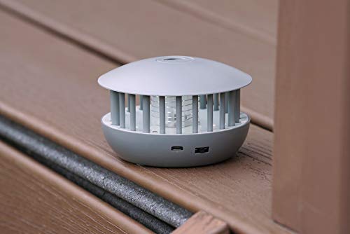 Pic Corp Pbz 2-In-1 Portable Insect Zapper And Accent Light, Gray #TOP2