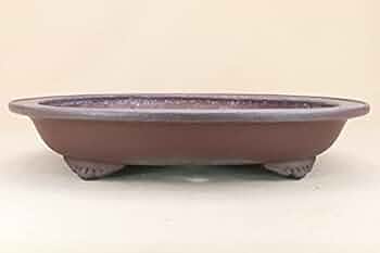 Amazon | 【盆栽鉢】 時代鉢 碧翠作 紫泥外縁楕円鉢（左右46.5cm