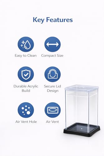 Image of Betta Fish Tank 13x12x20 cm Acrylic Aquarium with Lid | Small Desktop Fish Tank | Air Vent Hole | Easy Clean|Strong Acrylic Build| Compact Aquarium for Home & Office
