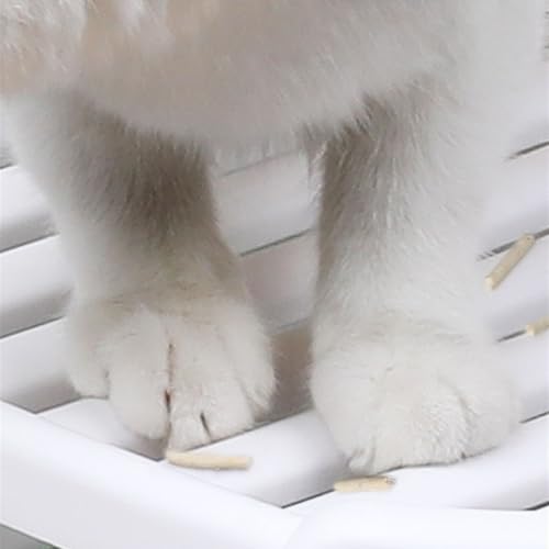 Arenero cerrado para gatos con tapa y bandeja deslizante miniatura 4