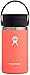 HYDRO FLASK – Podróżny kubek na kawę 354 ml (12 oz) – Izolowany próżniowo kubek podróżny ze stali nierdzewnej ze szczelną zakrętką Flex Sip – Bez BPA – Szeroki gwint – Kolor - Hibiscus