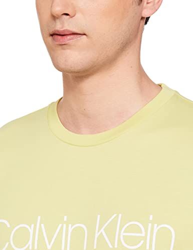 Image of Calvin Klein Men's Logo Regular Fit T-Shirt