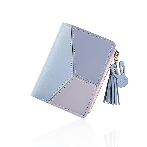 Andiker Señora Cartera con Cremallera, Monedero Pequeño con Botón Metálico, Cartera de Cuero para Las Mujeres con la Bolsa de la Moneda, Multifuncional Cartera Doble Plegable(Azul/Rosa) (Azul) Cover