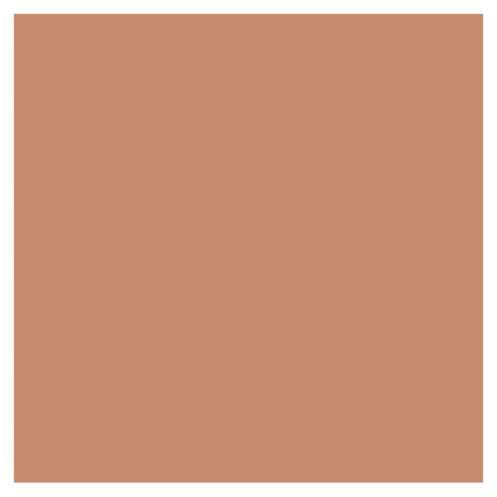 Sisley phyto-powder compact 4 bronze