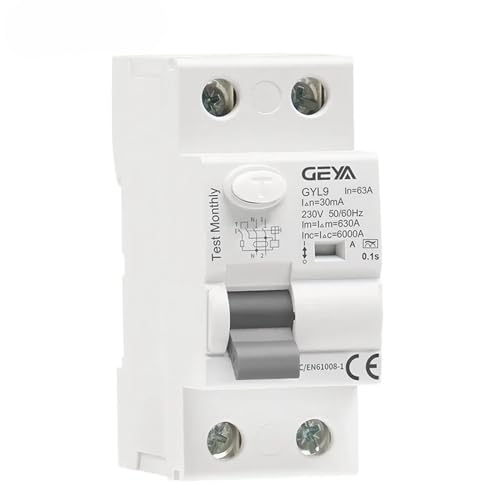 Disjoncteur 2P 63A 100mA différentiel pour la protection des circuits électriques