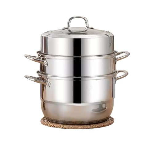 XeX X[v  e [ ύݗ t KXWt ψŐvȔM` IHΉ ƖpEƒpp(30cm)