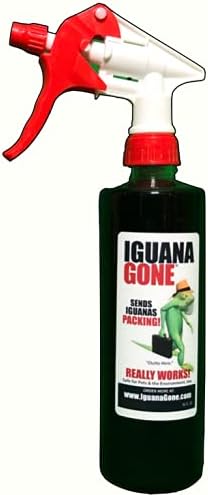 16 OZ