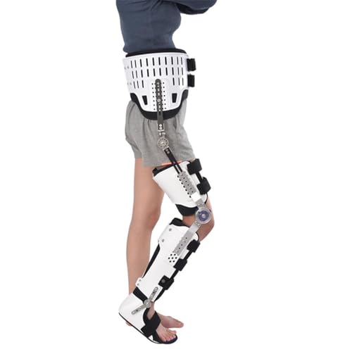   XvgA  \ Ҋ֐ G   u[XAҊ֐ߍ܃nre[V@pEH[LOu[ctAy