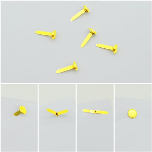 Split Pins,Scrapbooking Brads Split Pin,100pcs Mini Gold Brad Metal Paper Fasteners Coloured Brad Fasteners Pastel Round Brads for Paper Craft DIY Stamping Scrapbook Office Household Supplies(8*17mm)