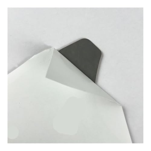 Accessoires de moto protecteurs de réservoir carbone Panigale V4