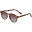Classic Tortoise - Polarized