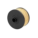 152095084R 1J910040 2001800009 Oil Filter Compatible For Dacia Duster Dokker Renault Clio(2 PCS)