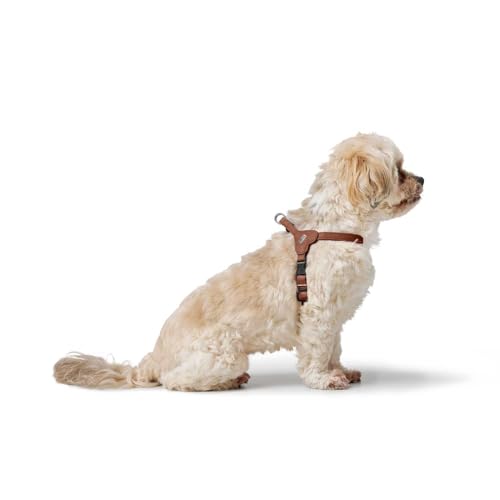 Hunter Hundegeschirr SOHO MINI, Farbe: Cognac, Rindsleder, weich & geschmeidig, fellschonend, leicht, für kleine Hunde & Welpen, Made in Germany, Größe: XS