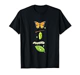 Unique Butterfly Appeal