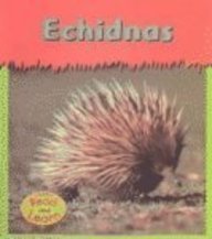 Paperback Echidnas (Tiny-spiny Animals) Book