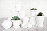 3 Inch Succulent Pots - 12 Pack White Clay Mini Terracotta Pots with Saucers and Drainage Hole, Paintable Pottery for Succulents, Small Flower Pot, Cactus, Garden Crafts, and Wedding Decor