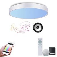 Amazon.co.jp : OFFDARKS シーリングライト LED 8畳 10畳 Alexa