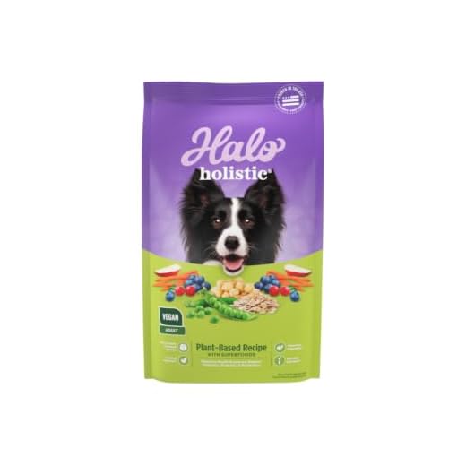 Halo Holistic Plant-Based Recipe With Superfoods, Complete Digestive Health, Vegan Dry Dog Food Bag, Adult Formula, 21-lb Bag