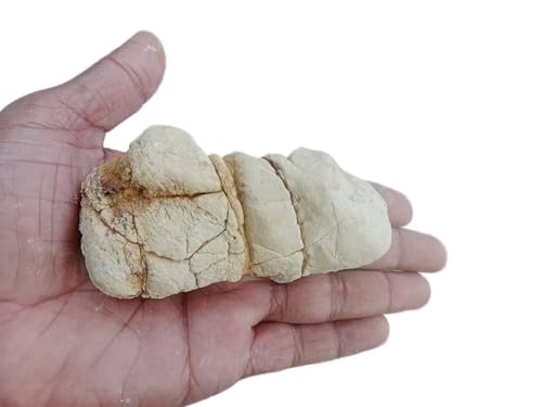 Image of Natural Elephant Skin Stone for Aquarium & Aquascaping - Textured Elephant Rock Hardscape for Betta, Shrimp & Planted Tanks (0.9, Kilograms)