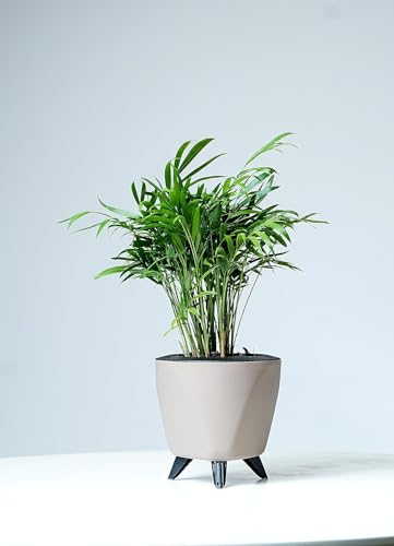 Image of Garden Art (Pack of 5 Indoor Outdoor Self Watering Planter Home Living Room Office Tabletop Decorative Plastic Flower Pot 5.1 Inch (Mocca, 5)