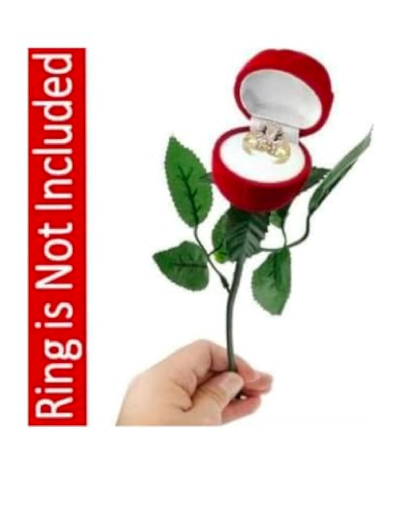 Couple Gift Ring Red Velvet Vanity Box