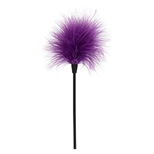 TOYJOY – Sexy Feather Tickler