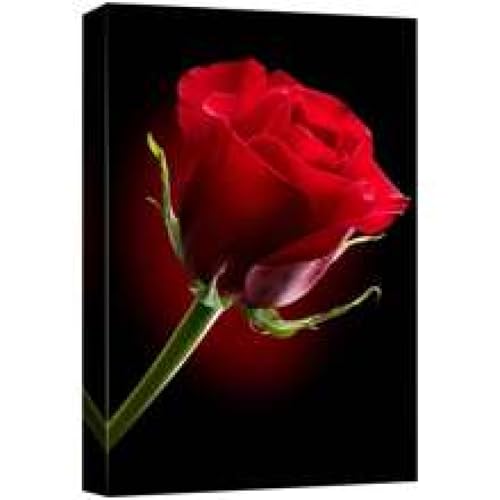 Impression sur toile rose rouge - Qualité premium et design moderne