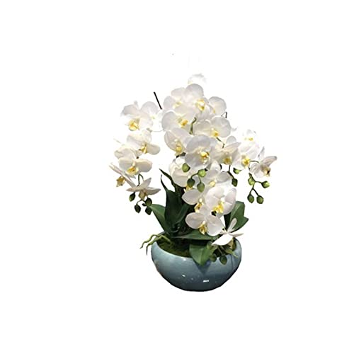 Orchidee Vase Die 15 besten Produkte im Vergleich Hausbauberater