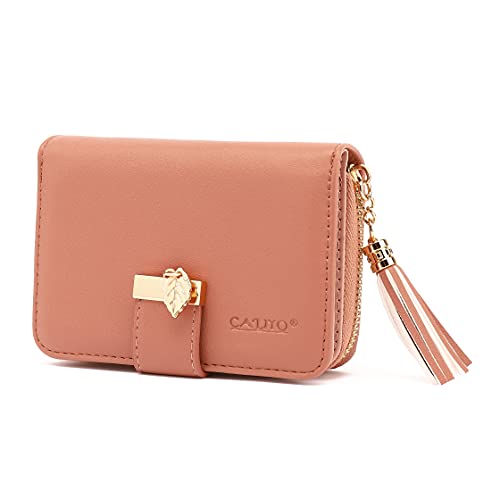 CALIYO Monedero de Piel sintética para Mujer, Tarjetero, múltiples Compartimentos y Ranuras para Tarjetas, Monedero para Mujer con Borla y Cremallera Suave, Salmon, S, Moderno