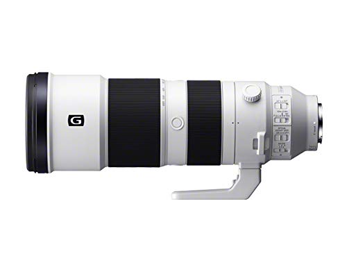 Sony FE 200-600mm Lens - Image 2