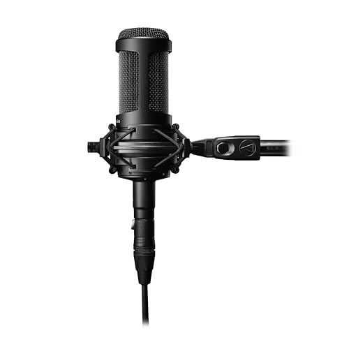 Audio-Technica AT4040 microphone