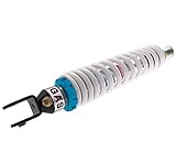 honda x8r-x tuning Federbein hinten Betor Gas Honda X8R