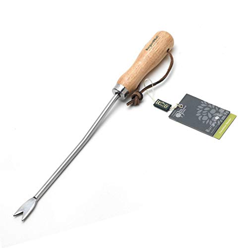 Burgon & Ball Stainless Steel Dandelion Weeder wit