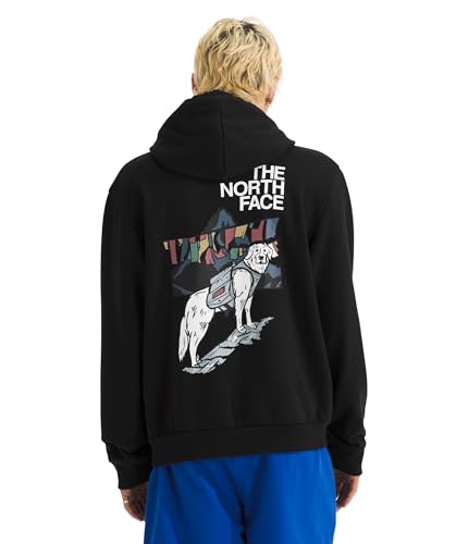 THE NORTH FACE 【キツネ様】 The North Face Men's Sunlit Summit Hoodie - Casual Pullover