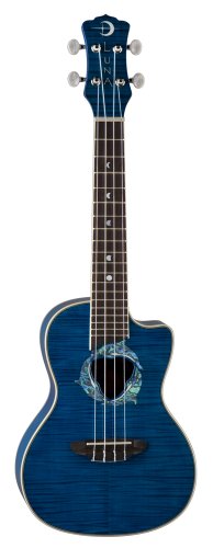 10 Best Ukuleles in 2022 | Ultimate Buyer’s Guide and Reviews 13 31NnOBYlI6L. SL500