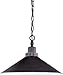 Nuvo Lighting 60/1707 Bridgeview - One Light Pendant, Mission Dust Bronze Finish