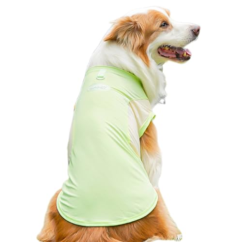 JPETTO^ ^  bV Vc t ^ ybg h Ђ hbOEFA ^Ngbv ʋC p ₩ UVJbg Ăh Eѕی ^25-55704u[6XL