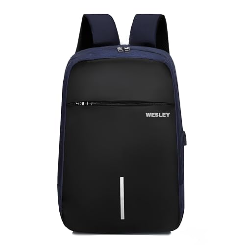 Wesley Zeus Usb charging Travel Laptop Backpack with inch