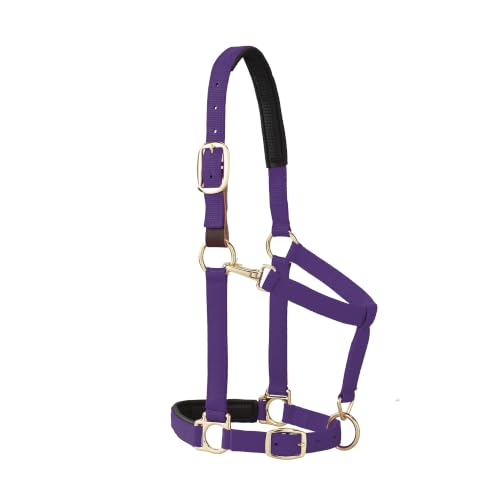 Weaver Equine Breakaway Horse Halter Comfort Foam Padding Adjustable Chin & Throat Snap Halters for Horses Equine Tack Average Size Purple
