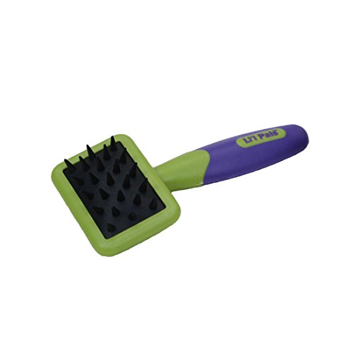 Coastal Pet Li'l Pals Kitten Massage Brush