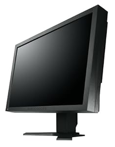Eizo S2202WH Moniteur LCD 22" (55,9 cm) VGA/DVI Noir