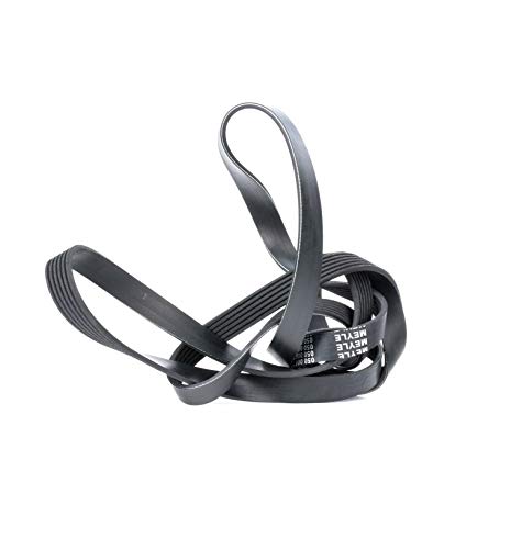 MEYLE 050 006 2260 Correa trapecial poli V Correa Poly V Correa poli V Correa de accesorios