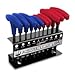 Performance Tool - 10 pc. T-Handle Hex Key Set (W80277)