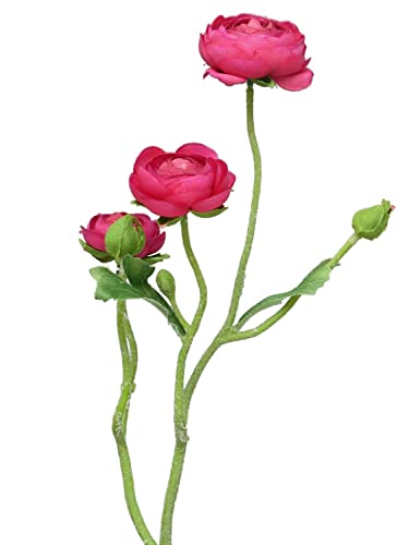artplants.de Branche de renoncule Artificielle JIXIANG, Rose Fuchsia, 50 cm - Fleur Artificielle