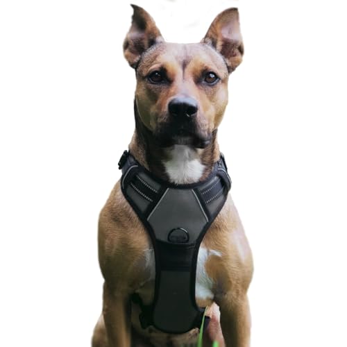 No Pull Hundegeschirr, Verstellbar Atmungsaktiv Reflektierend Weich Gepolstert Hunde Geschirr, Brustgeschirr für Hunde (Grau, L)
